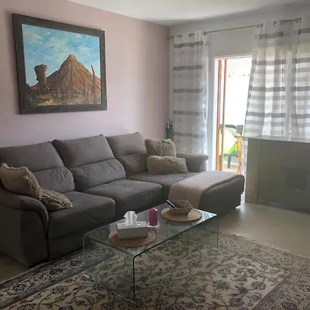 Bouganvilla 아데제